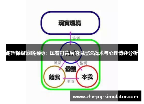 谢晖保级策略揭秘：压着打背后的深层次战术与心理博弈分析