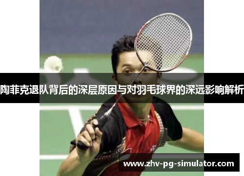 陶菲克退队背后的深层原因与对羽毛球界的深远影响解析
