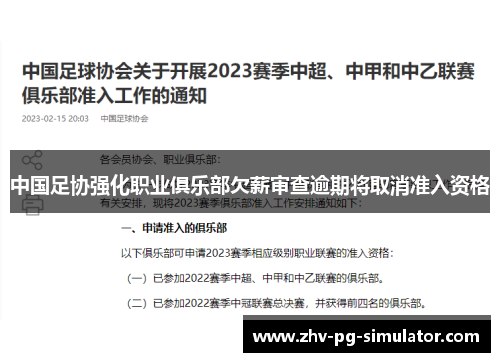 中国足协强化职业俱乐部欠薪审查逾期将取消准入资格 中国足协强化职业俱乐部欠薪审查逾期将取消准入资格