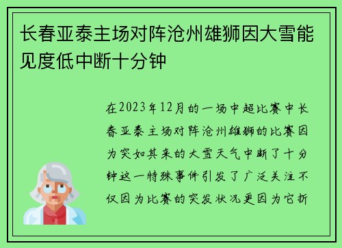 长春亚泰主场对阵沧州雄狮因大雪能见度低中断十分钟 长春亚泰主场对阵沧州雄狮因大雪能见度低中断十分钟